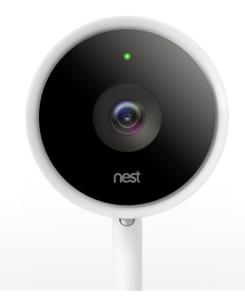 nest cam free storage