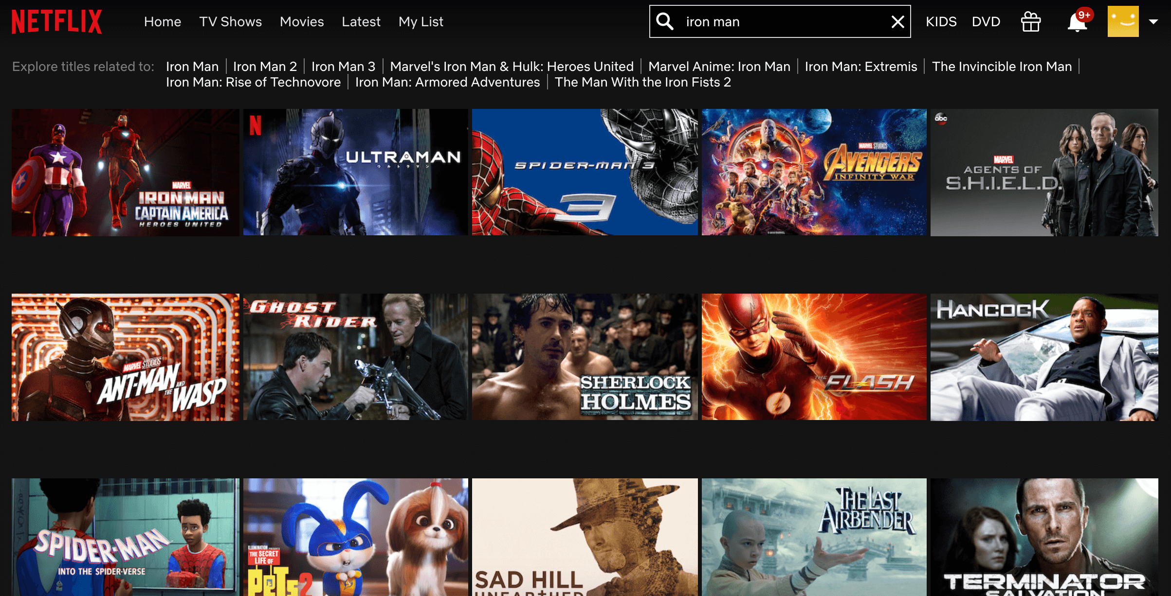 Netflix's search bar feature