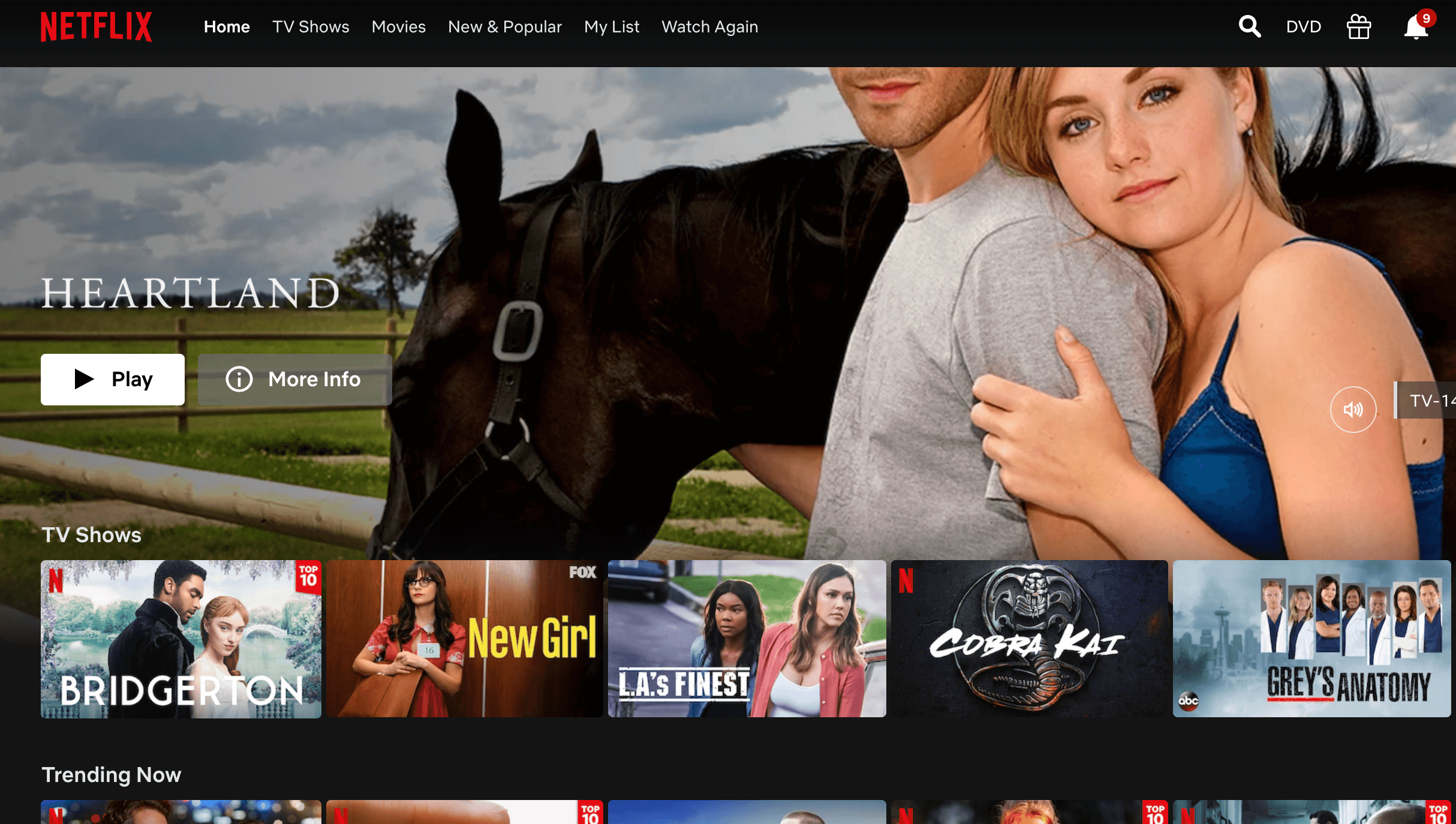 Netflix homepage