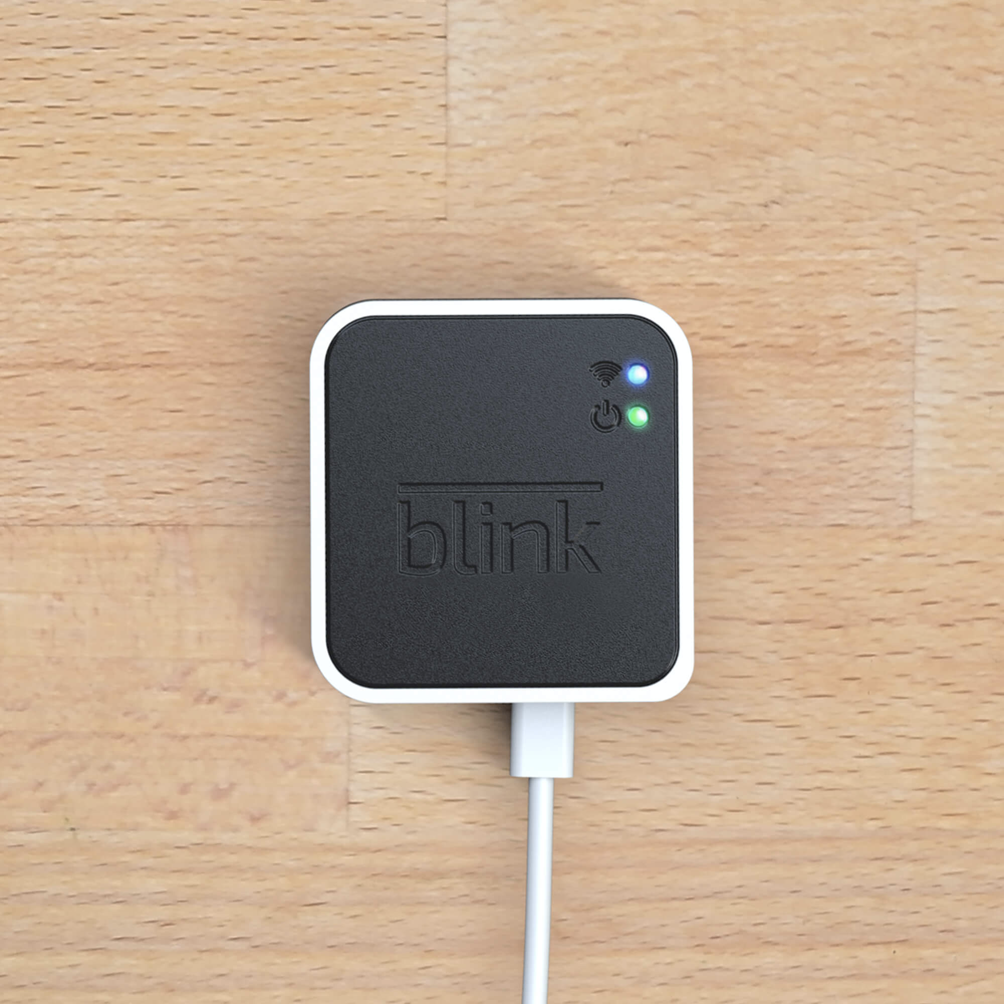 Blink Sync Module 2