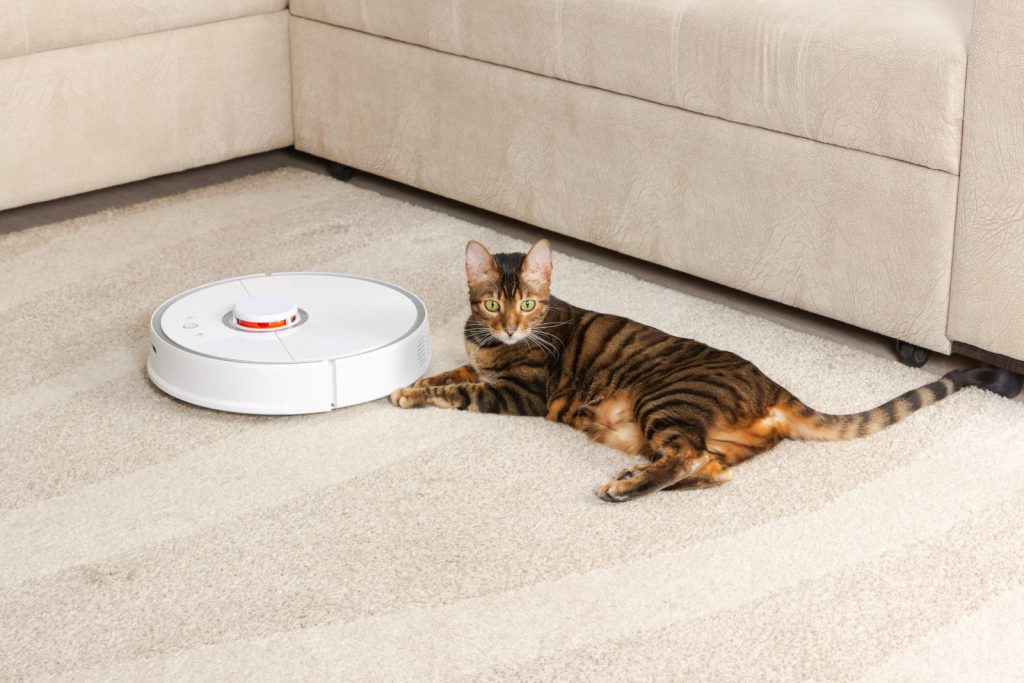 robot vacuum with cat