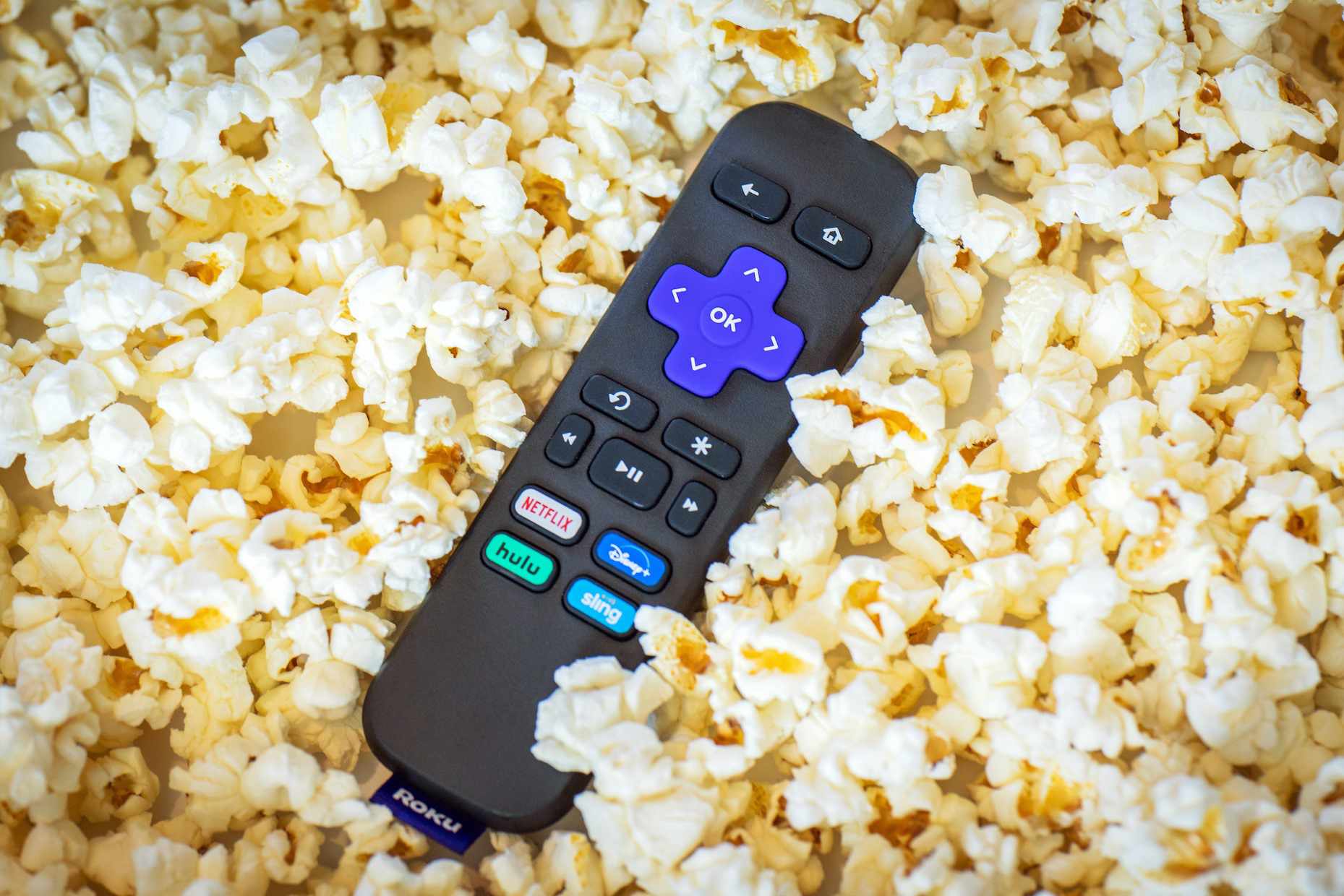 The Beginner’s Guide to Roku