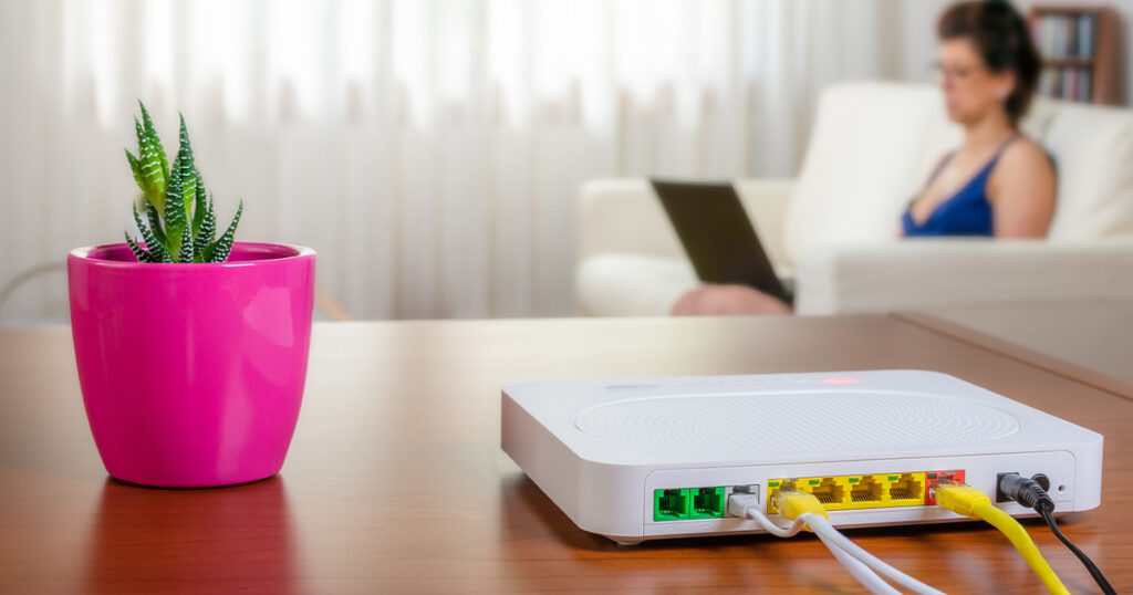 Photograph of FTTP NBN modem next to a pot plant with a woman using her laptop in the background