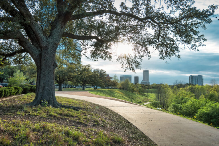 Tree and path in Buffalo Bayou Park in downtown Houston, Texas, USA on sunny day.