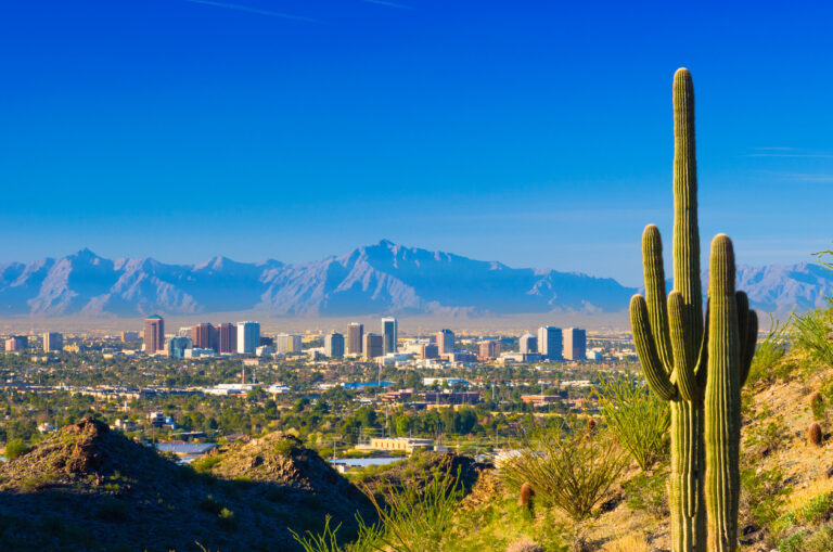 City skyline and saguaro cactus in Phoenix, Arizona