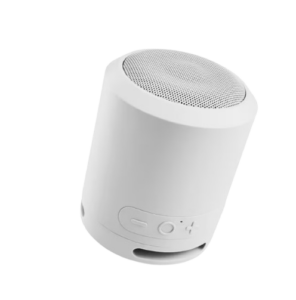 Portable Bluetooth Speaker - Silver