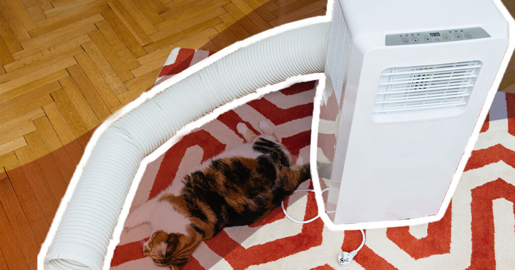 portable air conditioner on red and white rug with a cat lazing near the duct