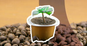 coffee pod on a pile of coffee beans, with a green succulent growing out of the pod