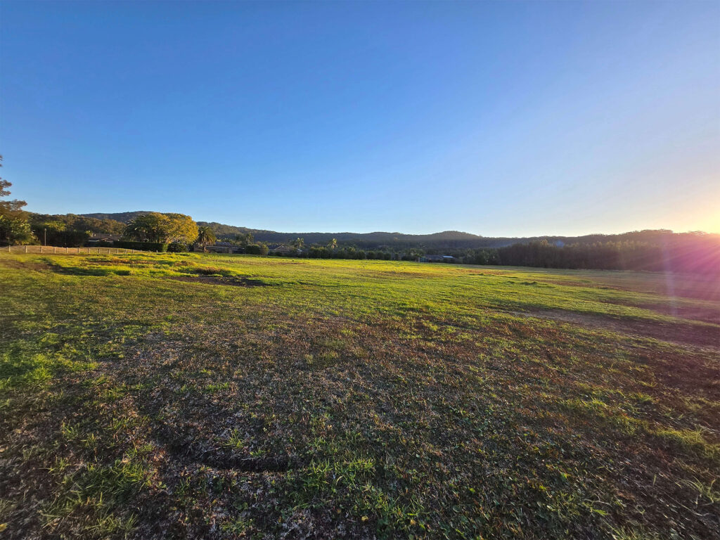 Galaxy Z Flip 6 - Ultrawide camera photo of a grassy field