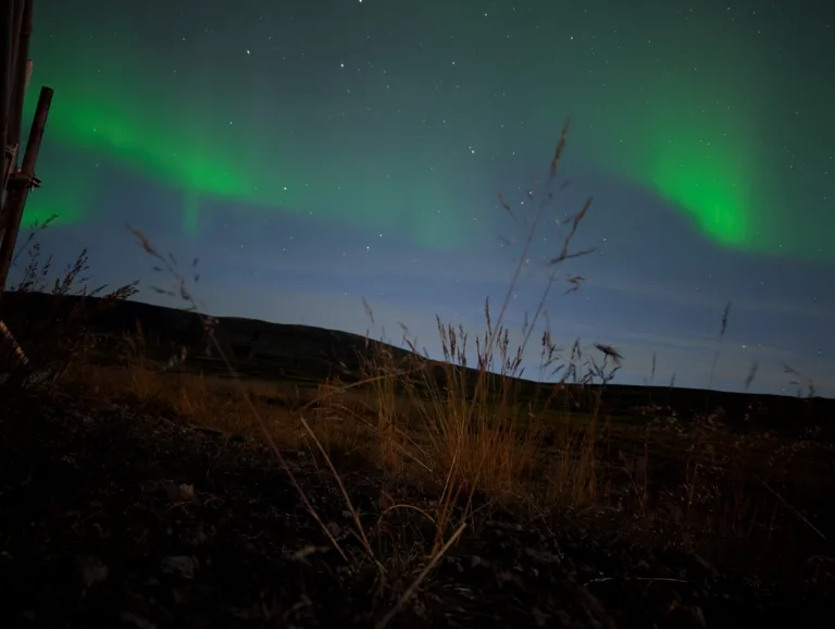 Image of the Northern Lights in Iceland taken using a Google Pixel 9 Pro XL